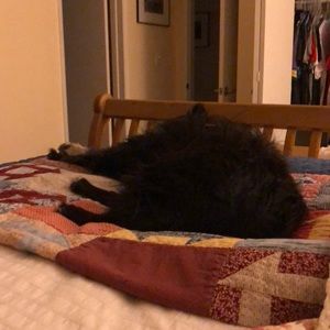 Meet your Posher, Regina